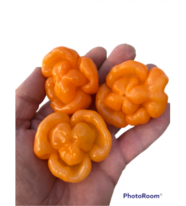 Watrih Habanero orange semienka