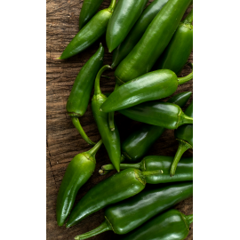 Jalapeño - semienka