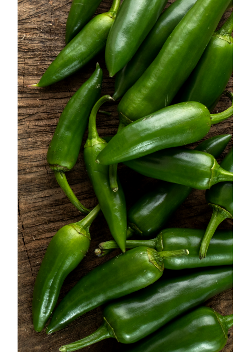 Jalapeño - semienka