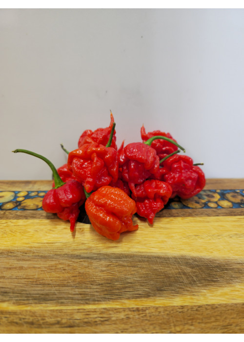 Carolina Reaper Red - semienka