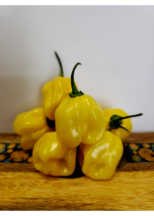 Habanero yellow