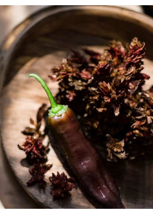 Aji Panca - semienka