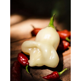 Aji White Fantasy - semienka