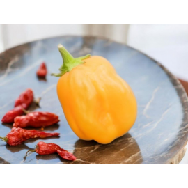 Aji Mango - semienka