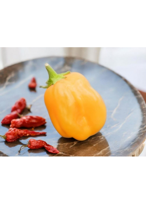 Aji Mango - semienka