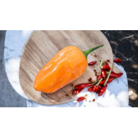 Bhut Jolokia Orange - semienka