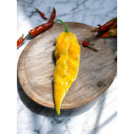 Bhut Jolokia Yellow - semienka