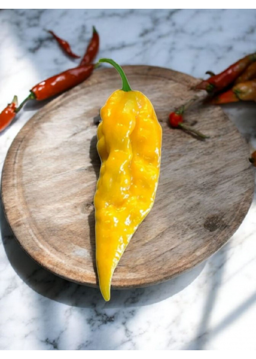 Bhut Jolokia Yellow - semienka