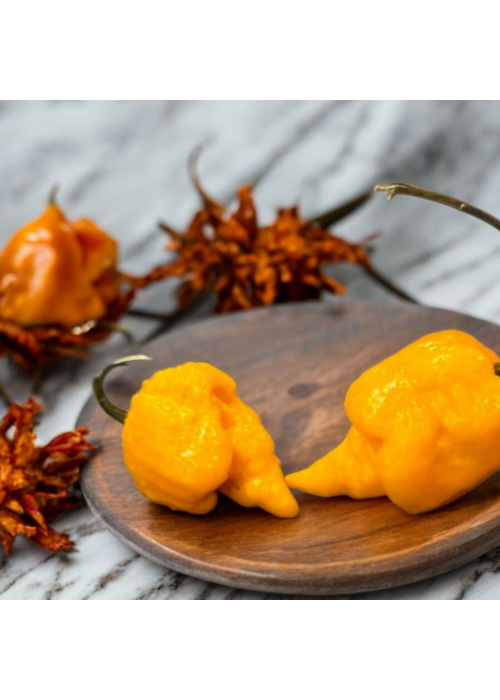 Carolina Reaper Yellow - semienka