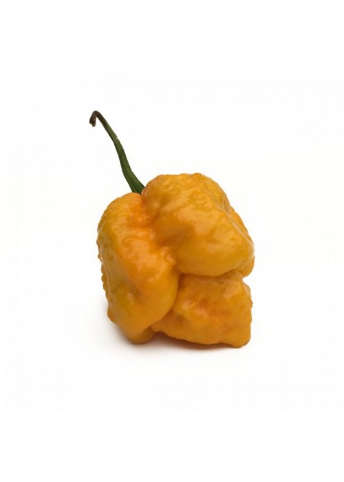 Trinidad Scorpion Moruga Yellow - semienka