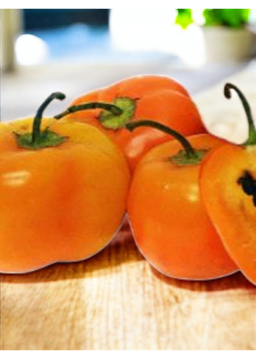 Rocoto Manzano Orange - semienka