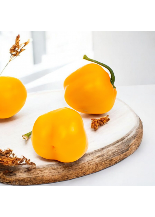 Rocoto Manzano Yellow - semienka